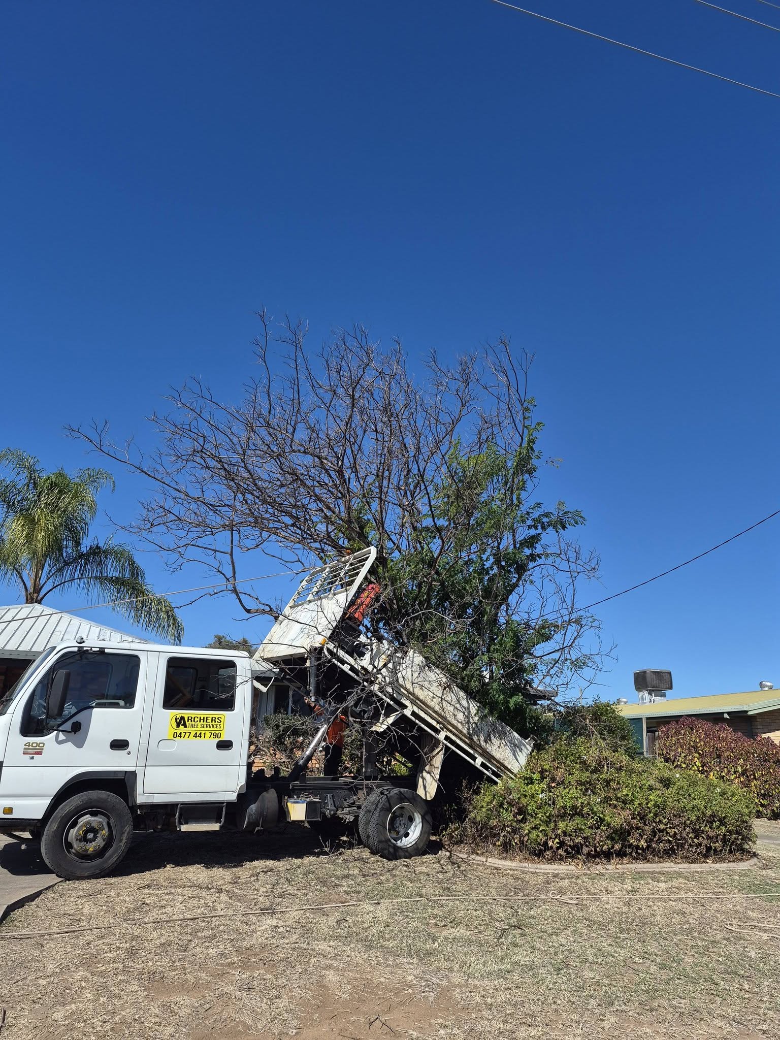 Archers Tree Services truck removing green waste from a job